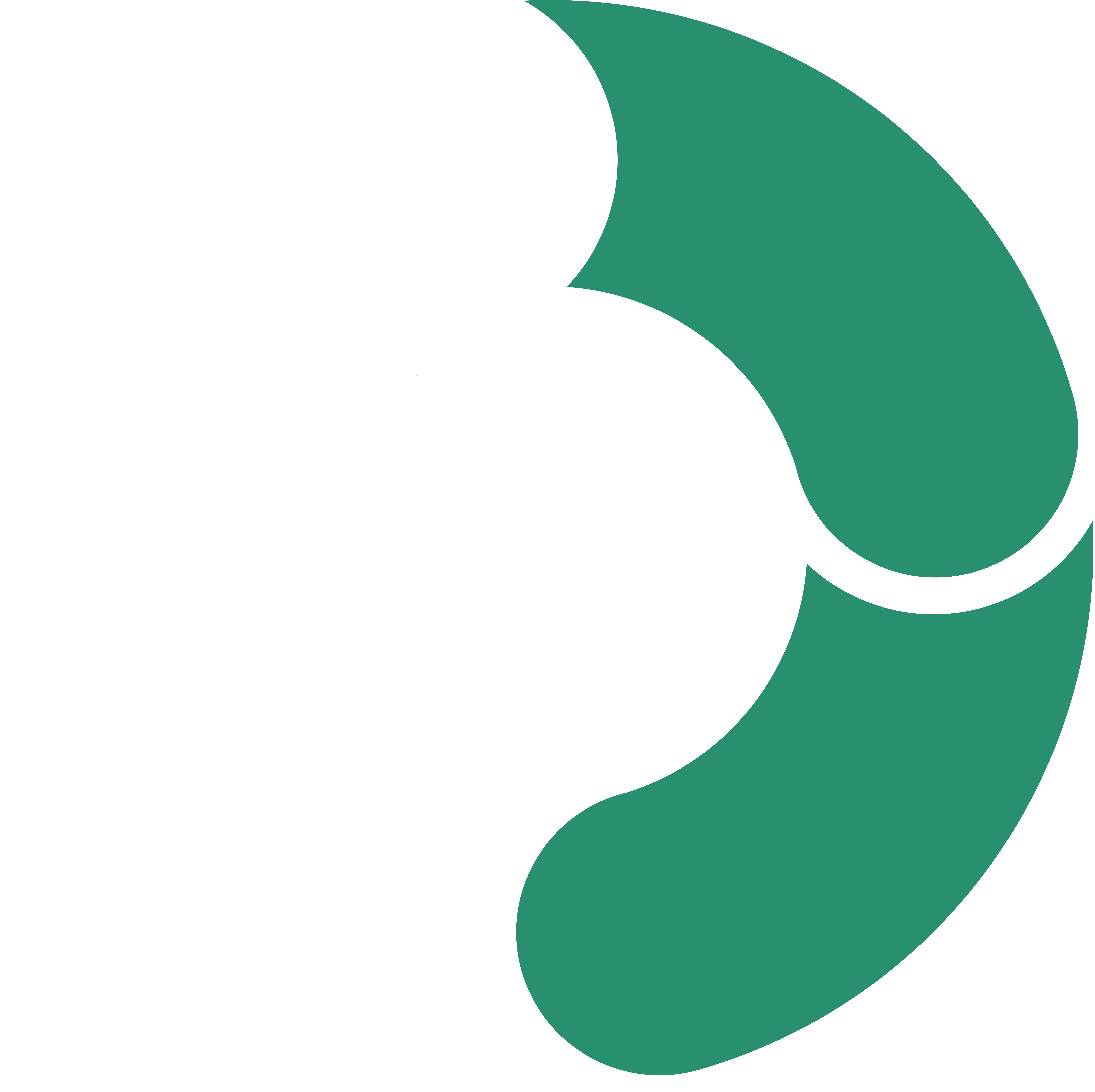 HEADS Logo